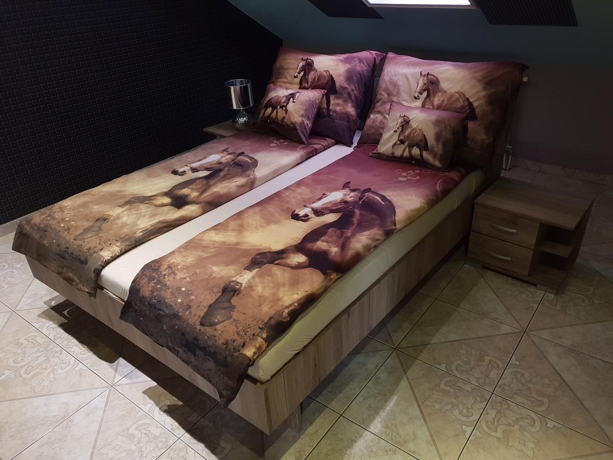 شقة Adam Apartmanhaz سيغيد المظهر الخارجي الصورة